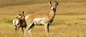 Simbalbara National Park