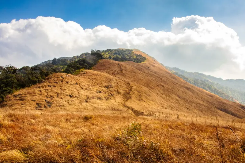 Shirui (Siroy) Hills